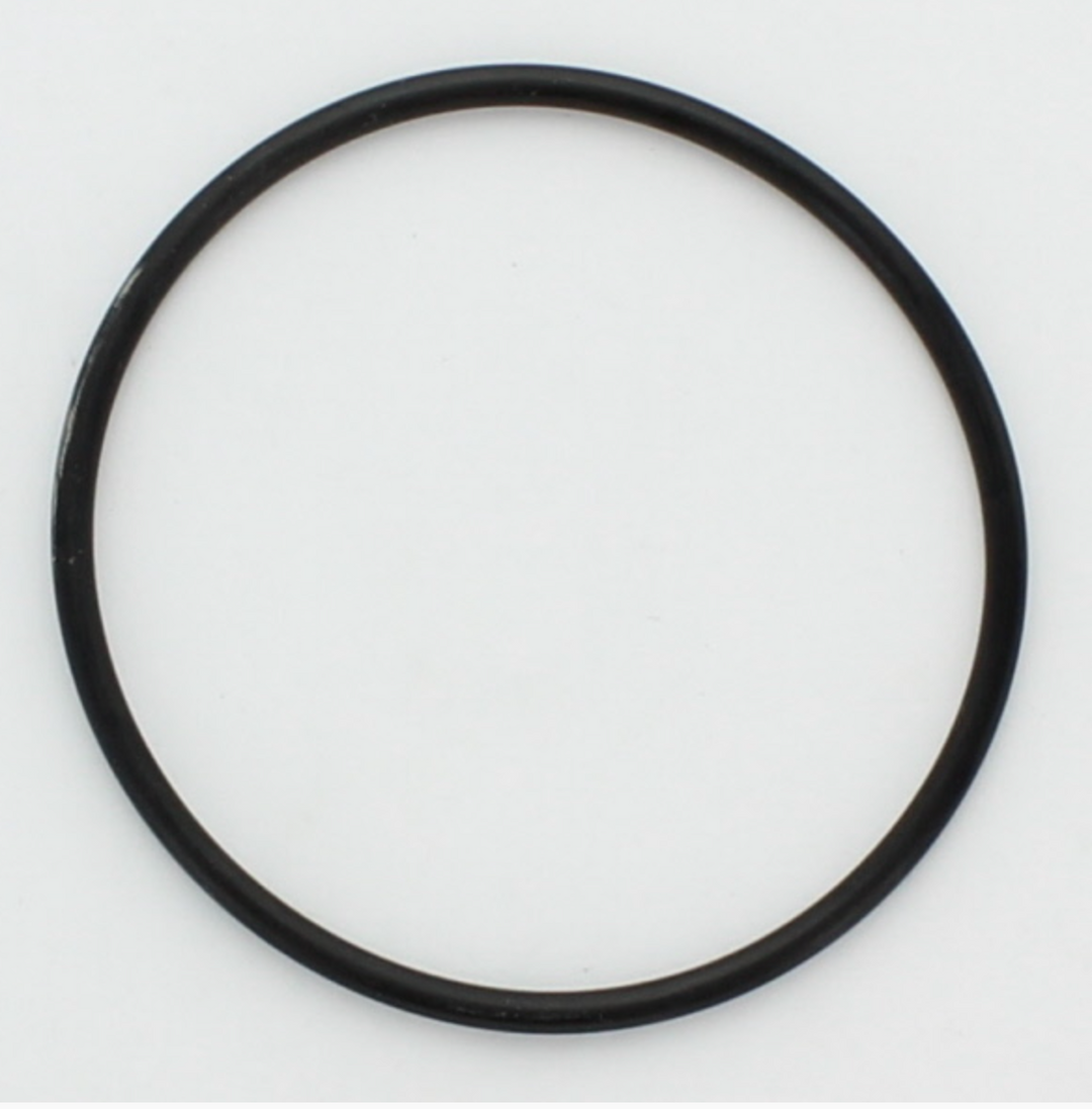 Lenz O Ring for Cleanable Oil Filter - PN: 102294